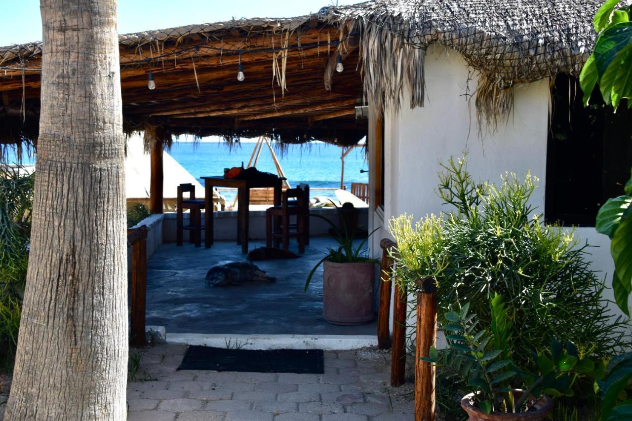 Rustico Lounge - Property In Front Of The Beach San José del Cabo Εξωτερικό φωτογραφία